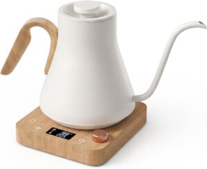 Epeios Electric Kettle, Gooseneck E...