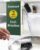 Cuisinart Dish Brush with Handle 2 Pack – Kitchen Scrub Brush for Dishes, Pots & Pans, Non-Scratch Dish Scrubber, Firm Bristles for Sink & Cookware, Comfortable Grip for Everyday Cleaning